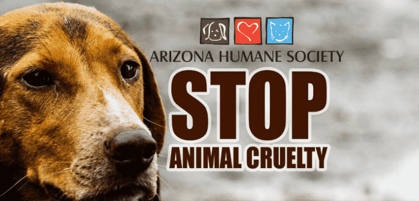 historic-new-anti-cruelty-law-to-be-effective-from-tuesday-in-arizona